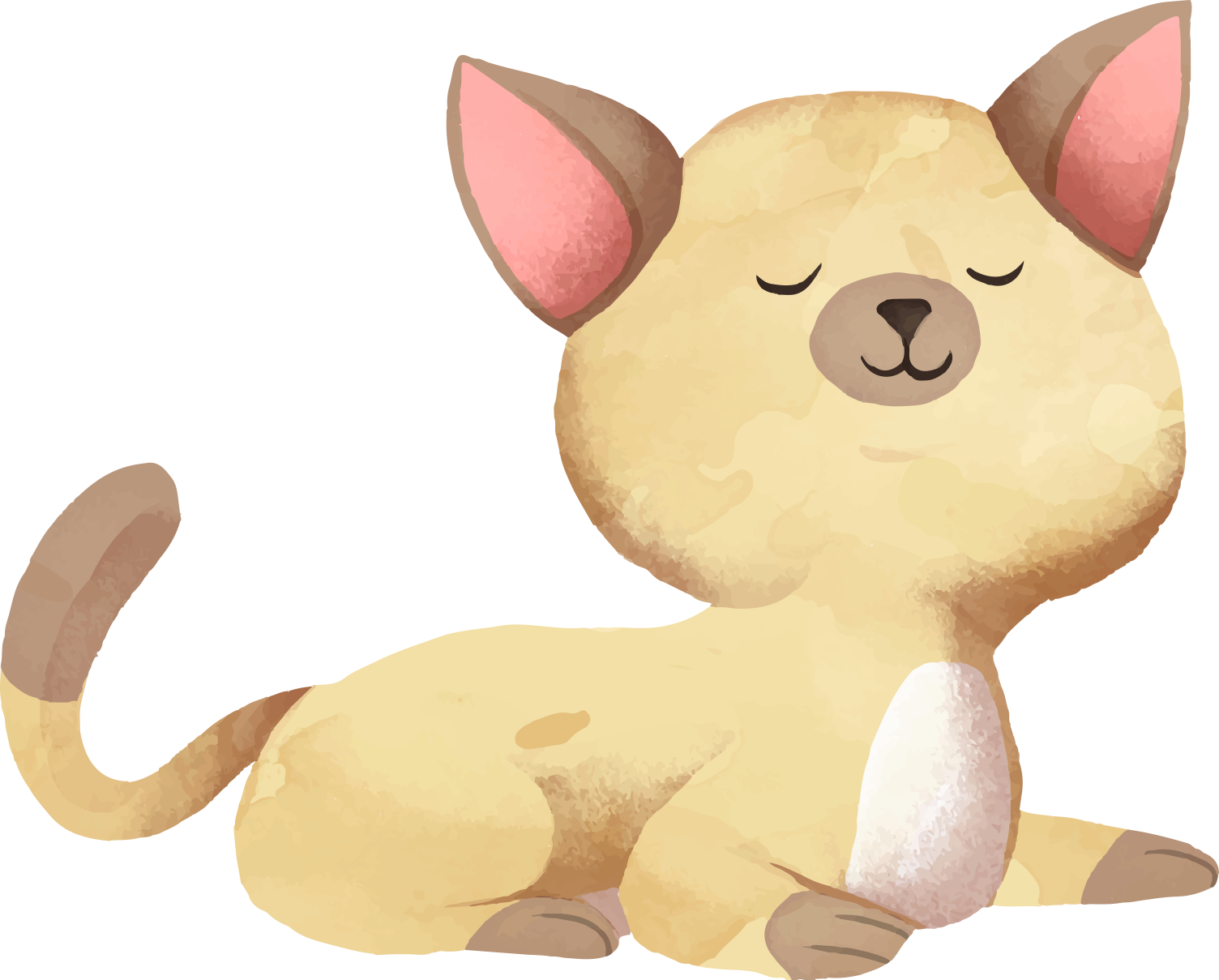 pet animal cat animal illustration