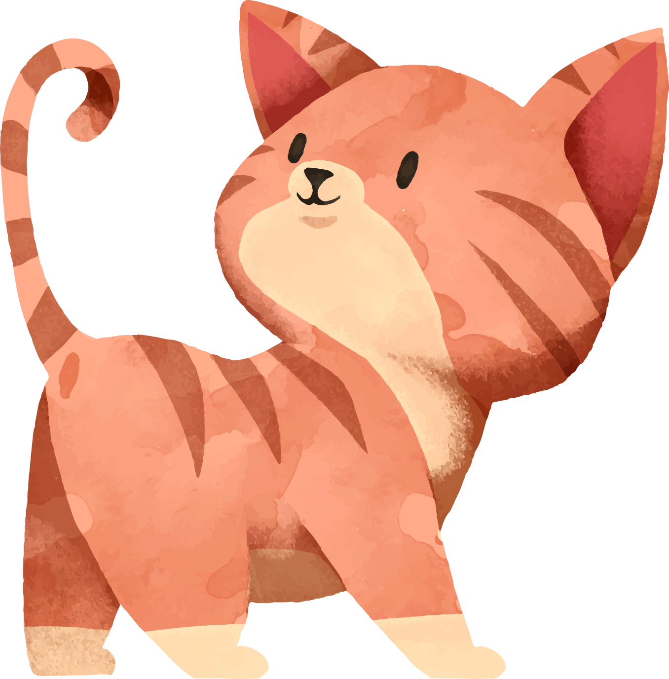 pet animal cat animal illustration