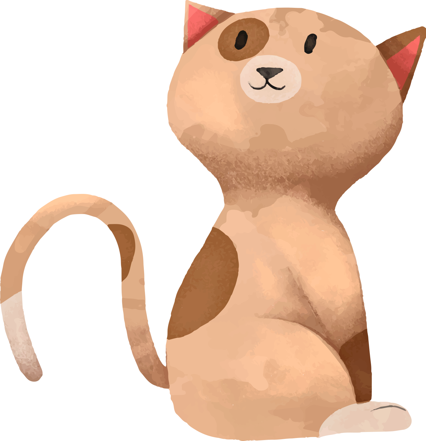 pet animal cat animal illustration