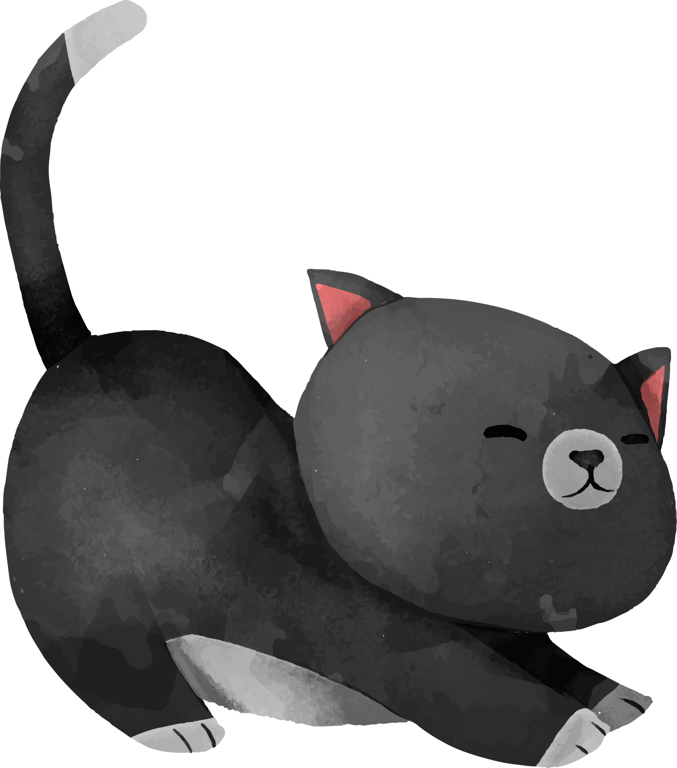 pet animal cat animal illustration