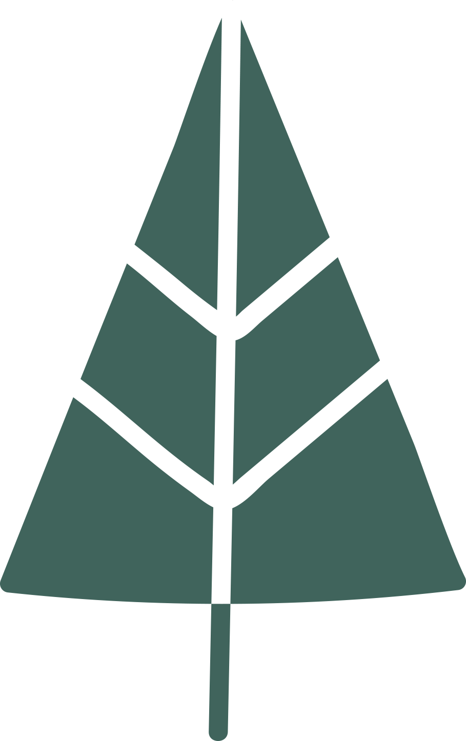 Christmas tree monochrome tree tree