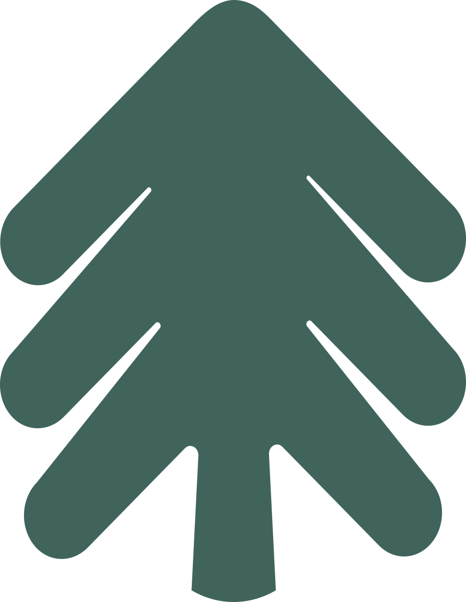 Christmas tree monochrome tree tree