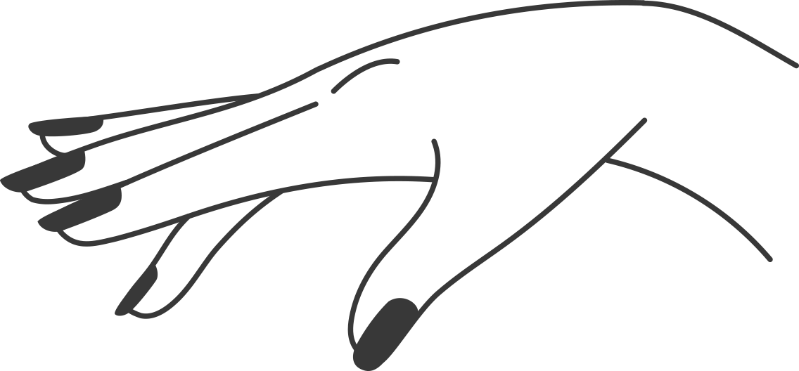 nail art illustration palm hand