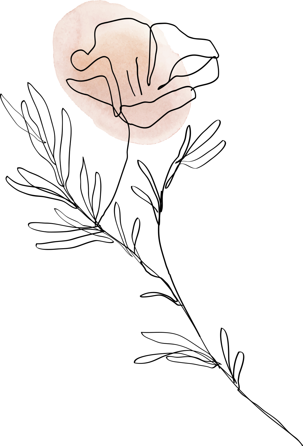 leaf hand-drawn leaf