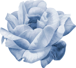 flower blue flower floral illustration