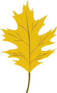 yellow leaves tree leaves autumn leaves