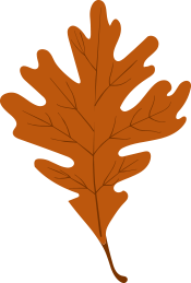 yellow leaves tree leaves autumn leaves