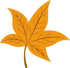 yellow leaves tree leaves autumn leaves