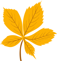 yellow leaves tree leaves autumn leaves