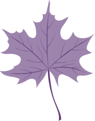 yellow leaves tree leaves autumn leaves