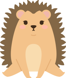 hedgehog animal illustration