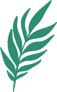 Christmas elements hand-drawn Christmas hand-drawn leaf