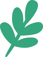 Christmas elements hand-drawn Christmas hand-drawn leaf