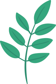 Christmas elements hand-drawn Christmas hand-drawn leaf