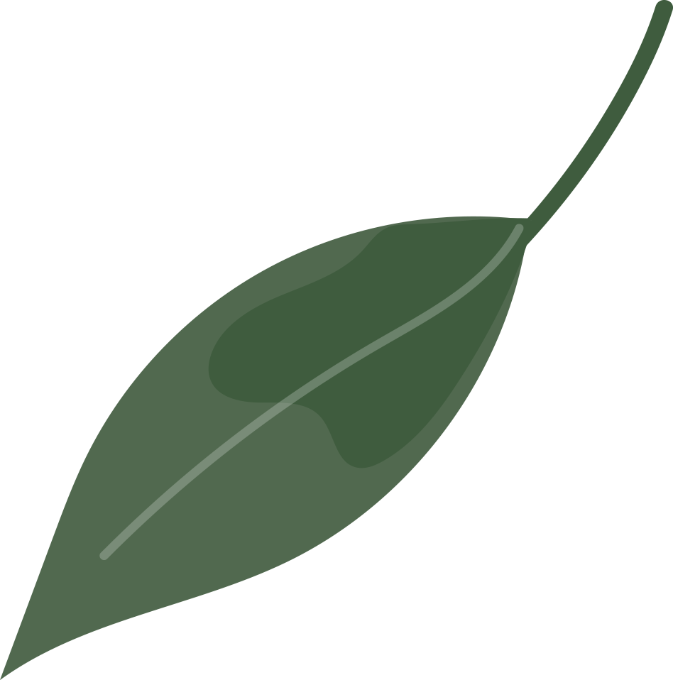 watercolor green plant green leaves