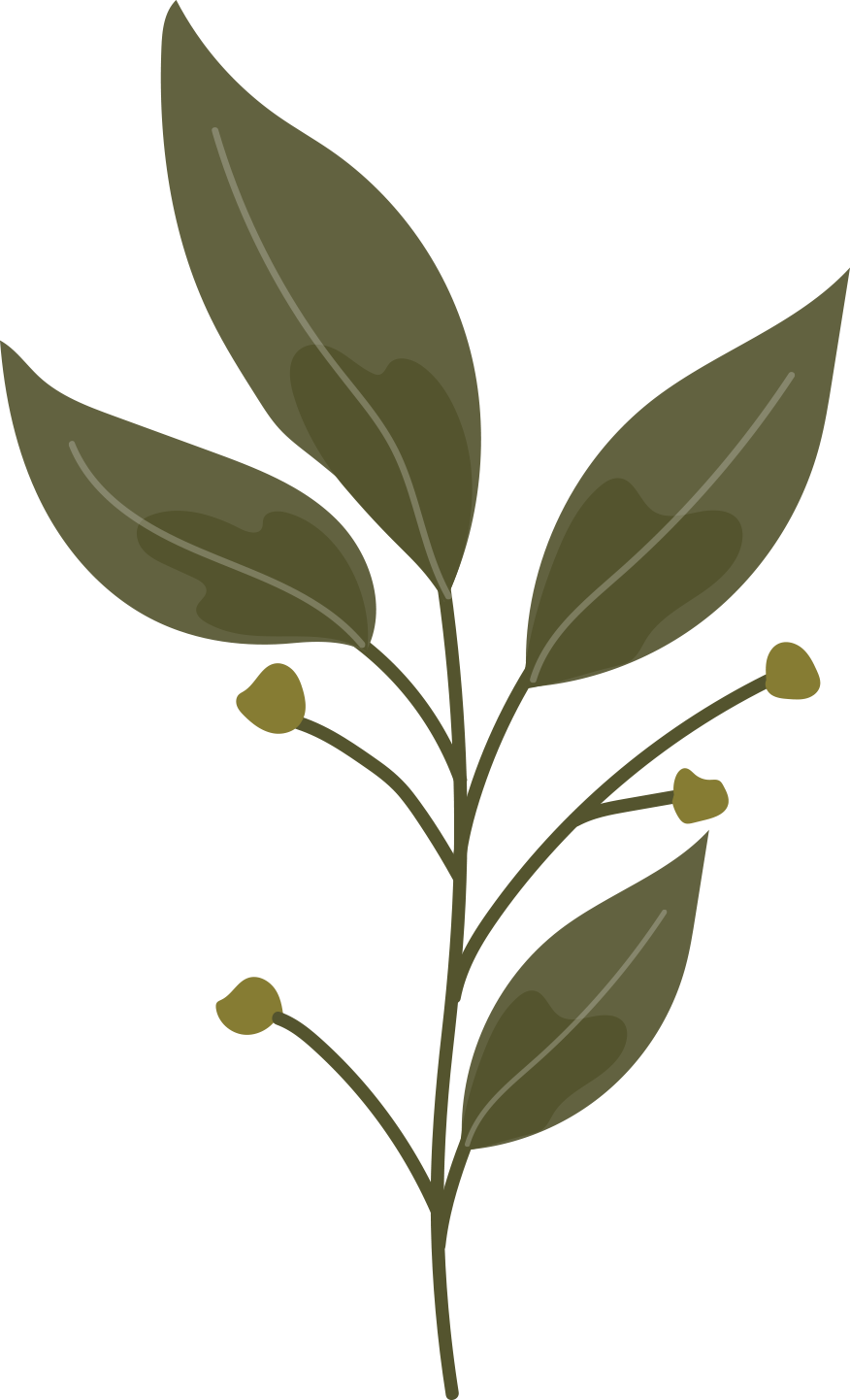 watercolor green plant green leaves