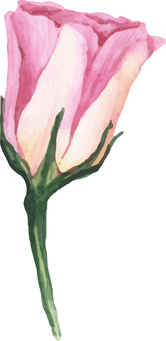watercolor flowers floral illustration