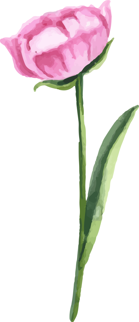 watercolor flowers floral illustration