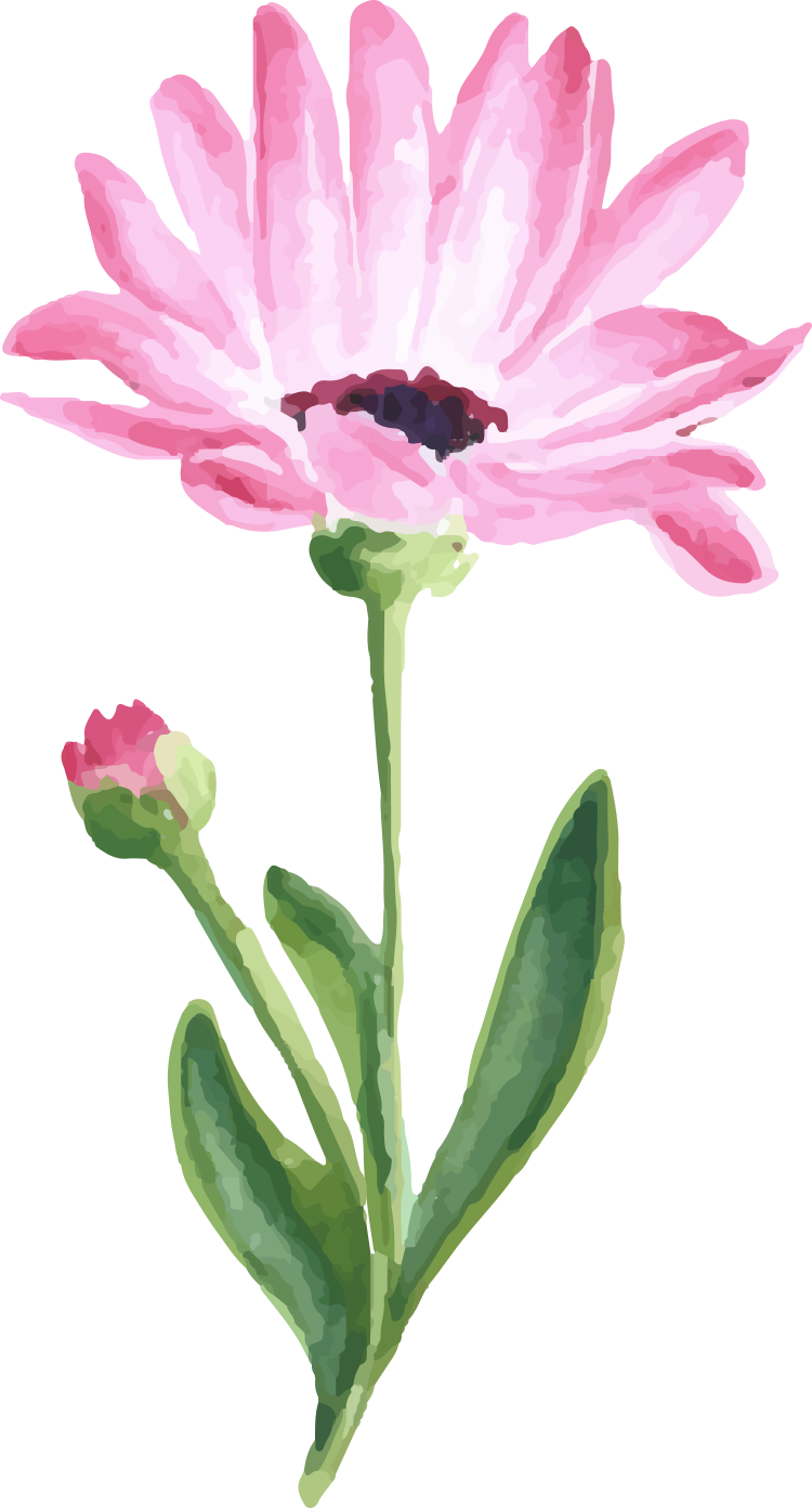 watercolor flowers floral illustration