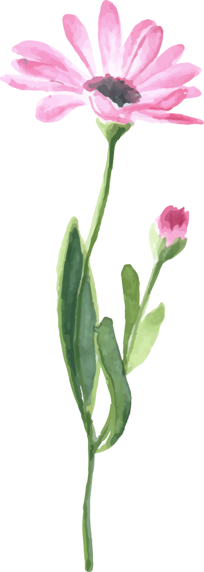 watercolor flowers floral illustration