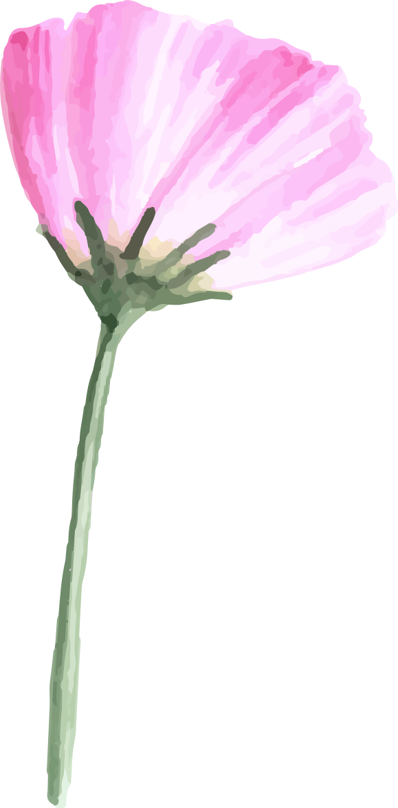 watercolor flowers floral illustration