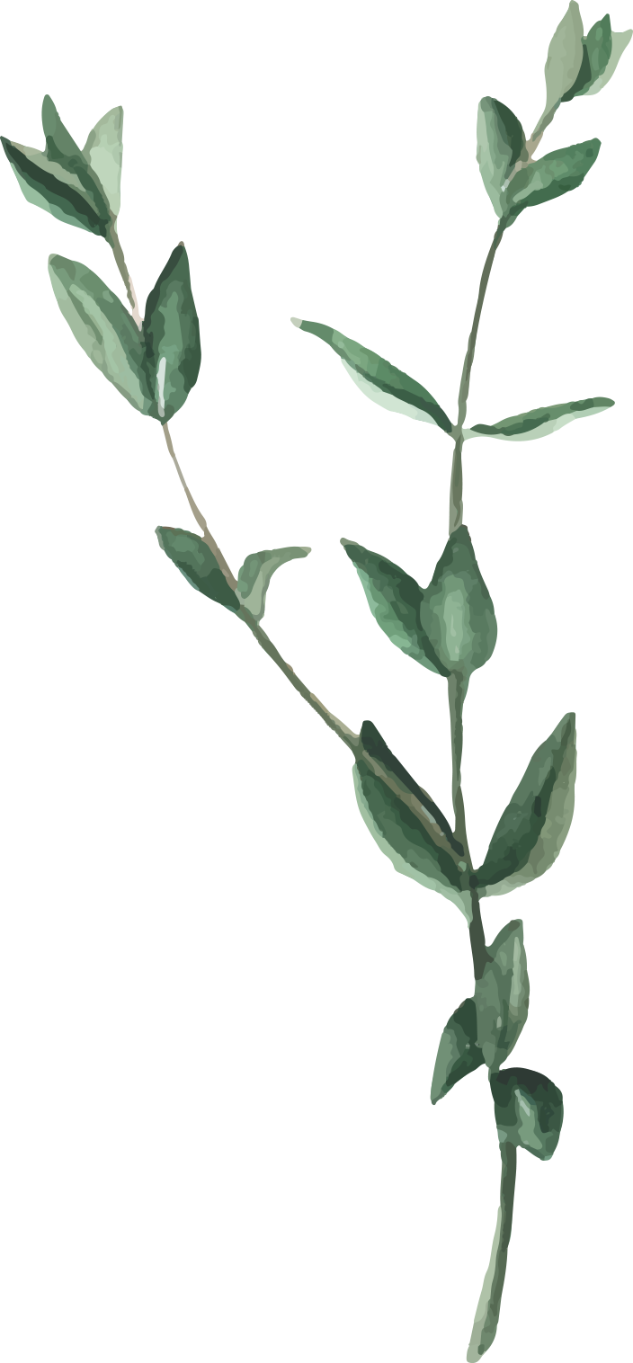 watercolor flowers floral illustration green leaf watercolor green leaf