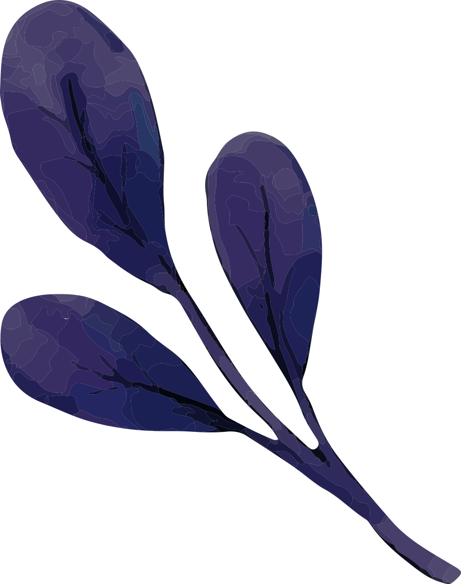 branches and leaves