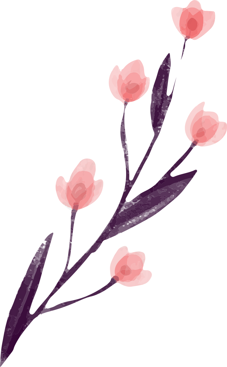 botanical illustration flower branch