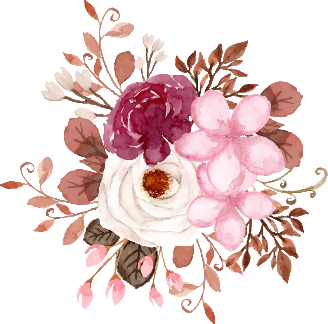 flowers fresh flowers hand-drawn flowers