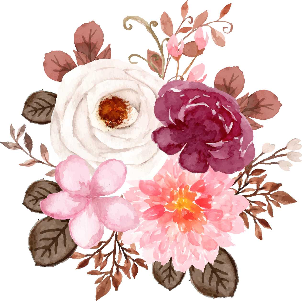 flowers fresh flowers hand-drawn flowers