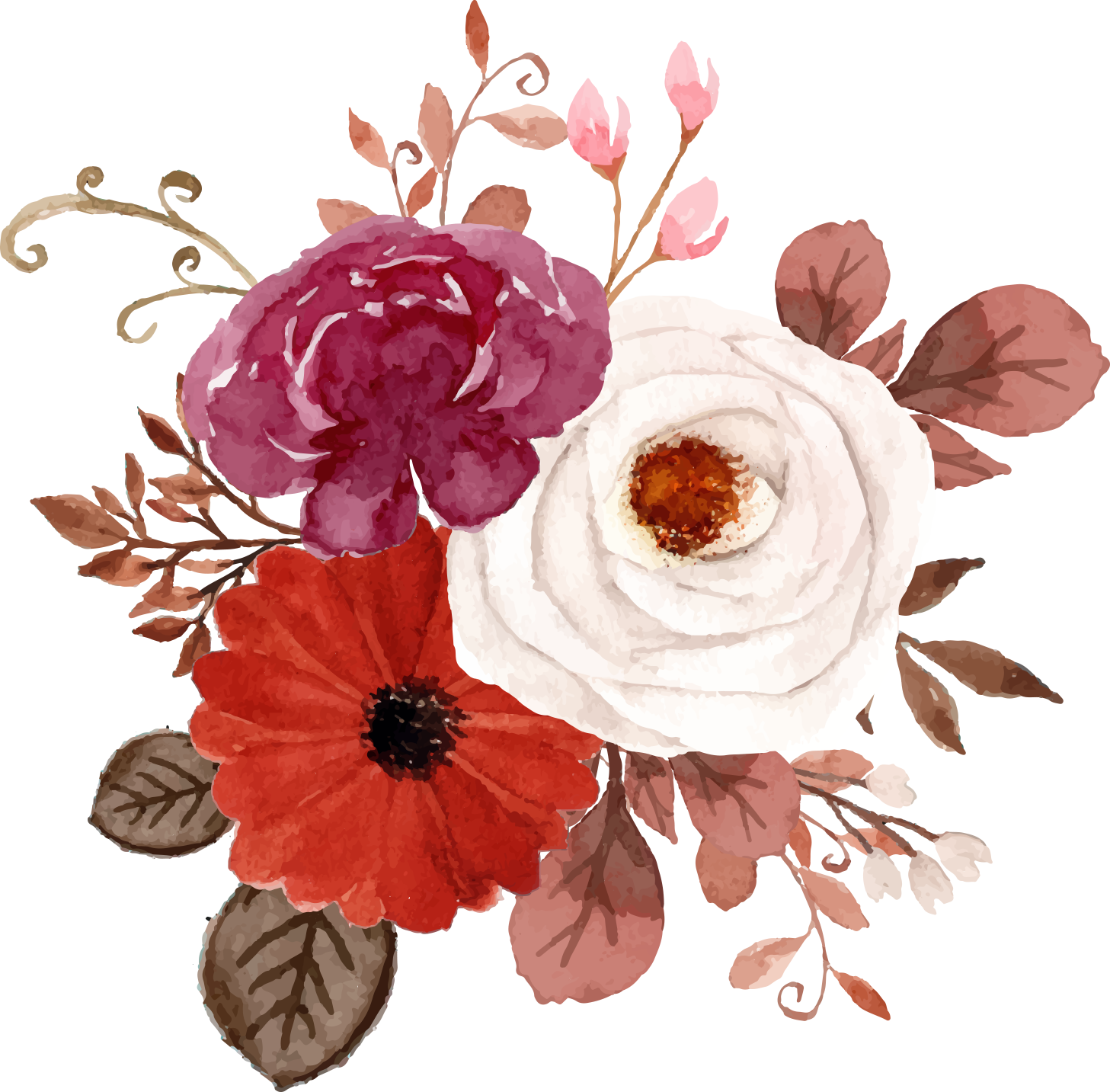 flowers fresh flowers hand-drawn flowers