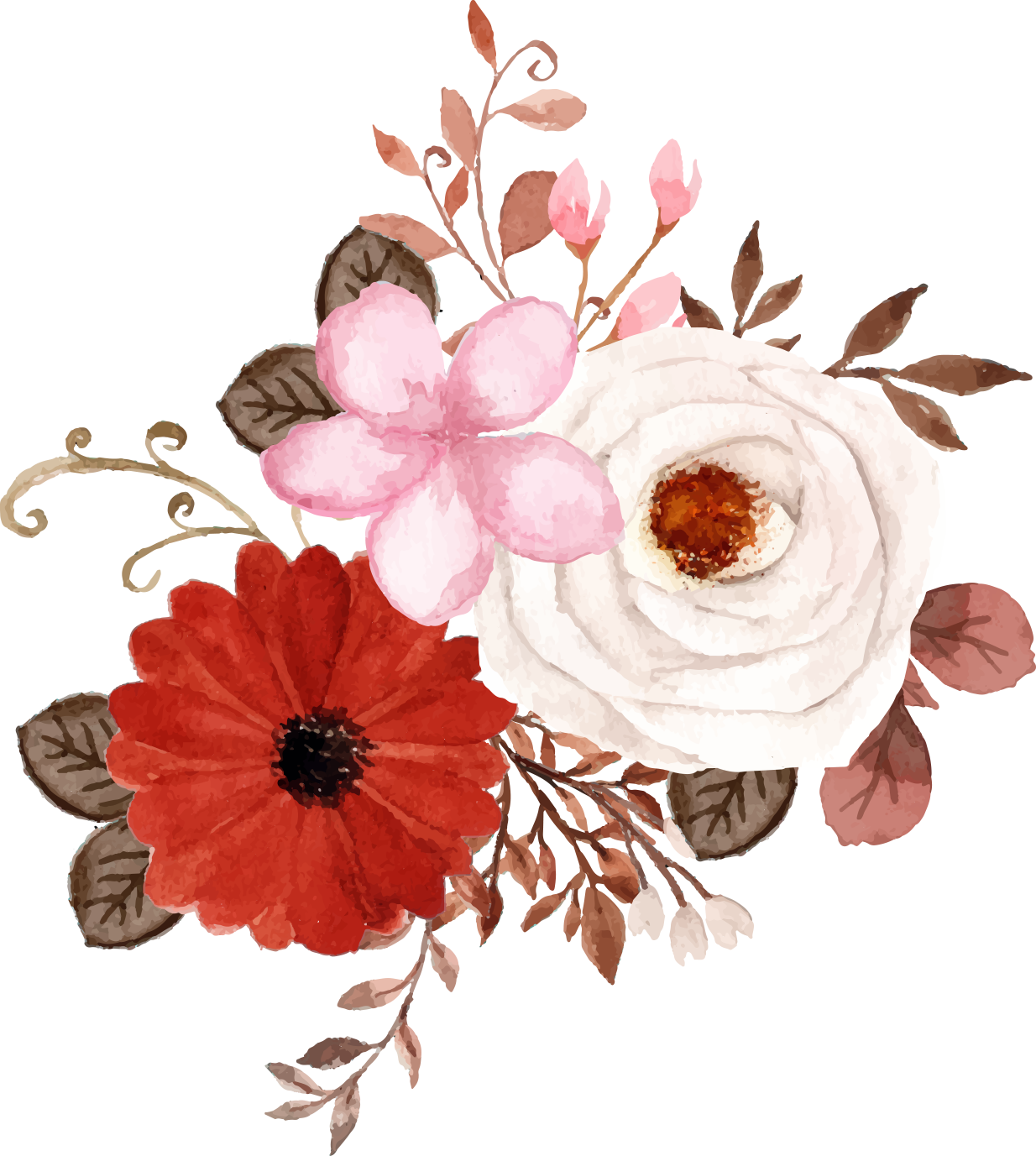 flowers fresh flowers hand-drawn flowers