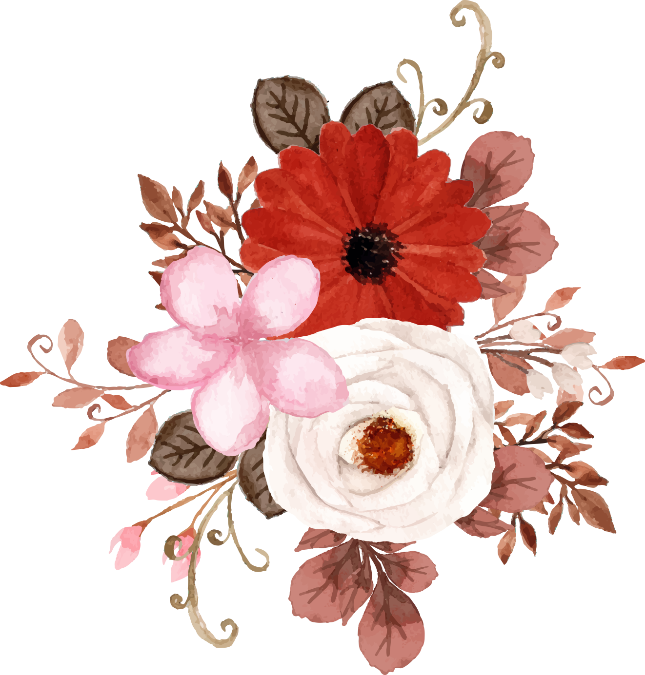 flowers fresh flowers hand-drawn flowers