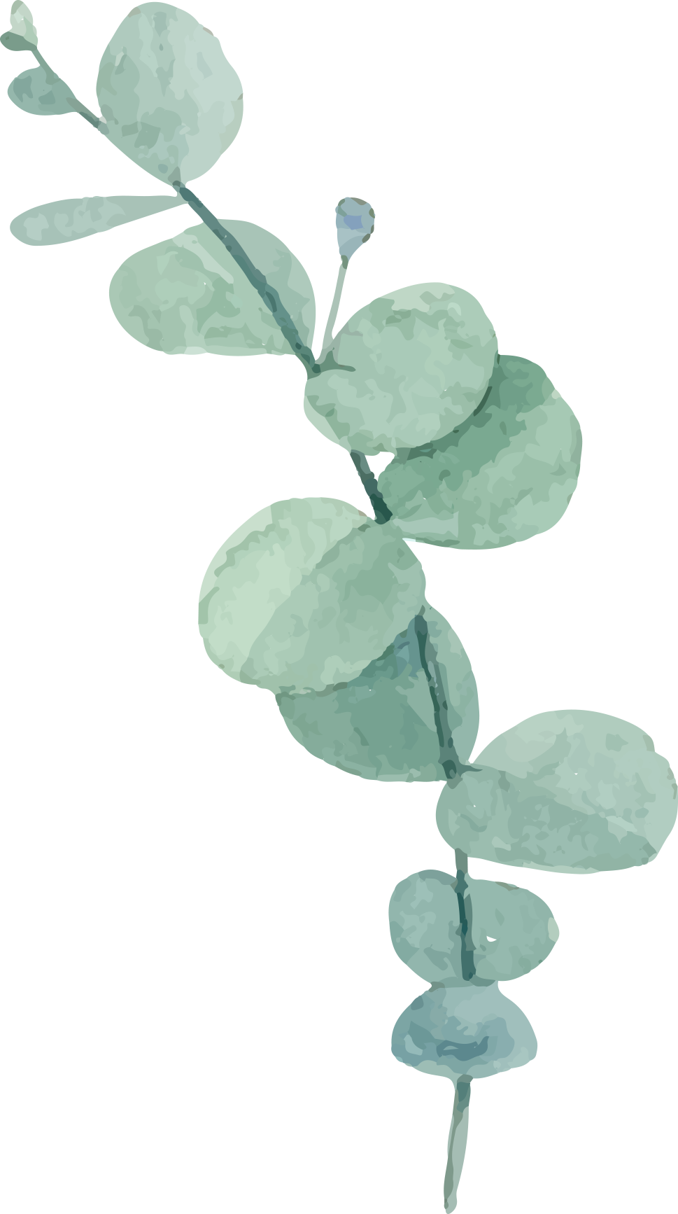 watercolor green plant green leaves