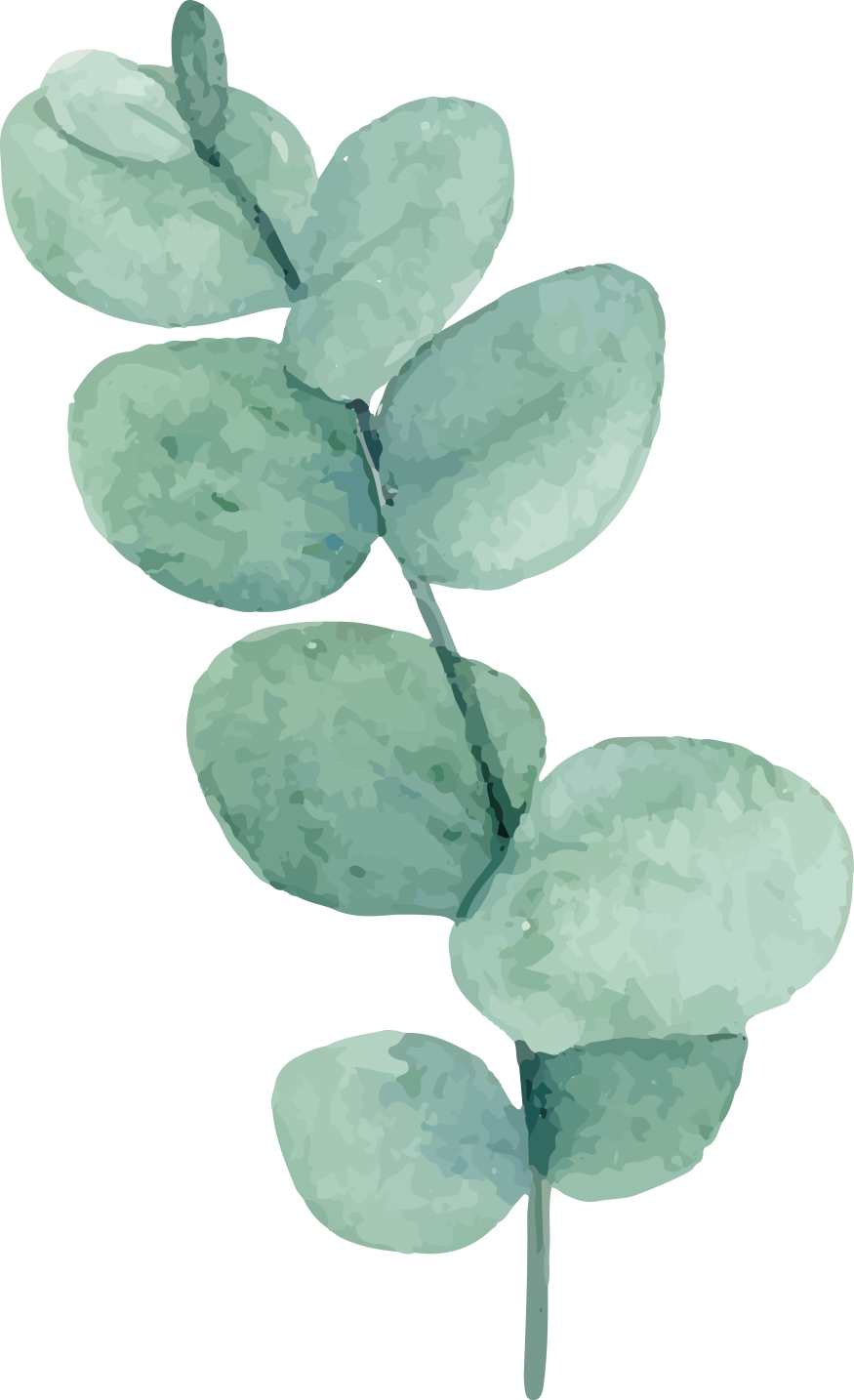 watercolor green plant green leaves