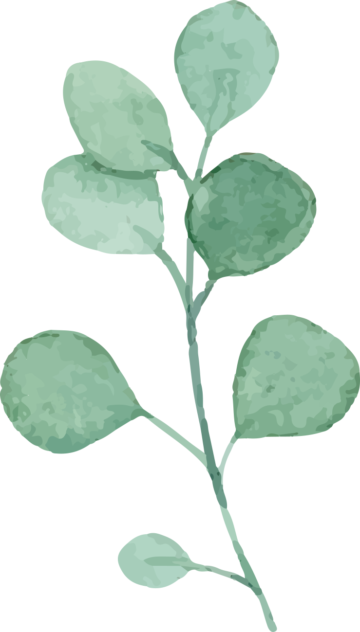 watercolor green plant green leaves