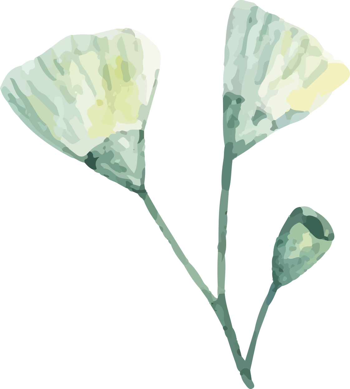 watercolor green plant green leaves