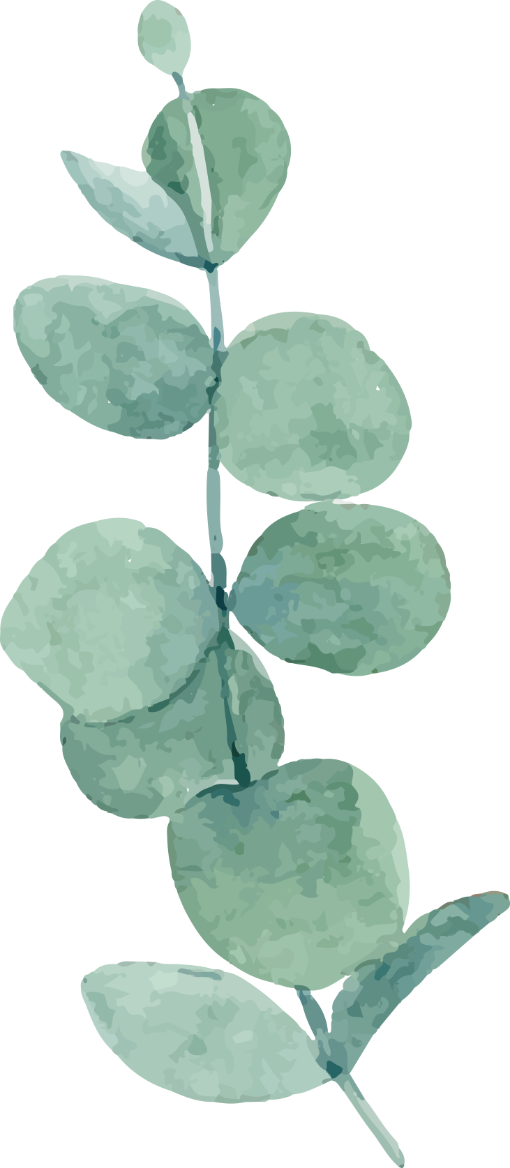 watercolor green plant green leaves