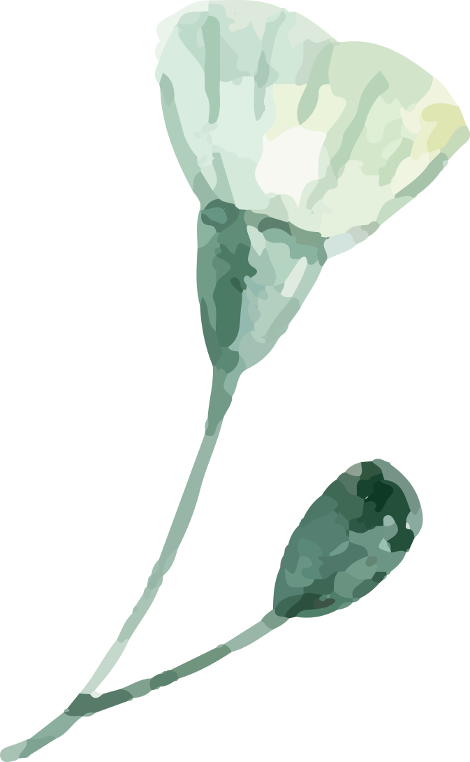 watercolor green plant green leaves